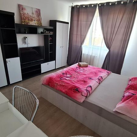 Garsoniera 30Mp Chrysflatty1 - Free Netflix Apartment Arad Bagian luar foto